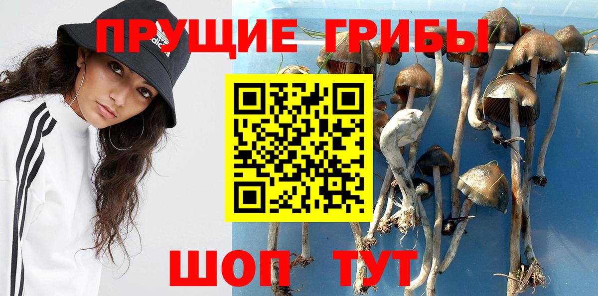 закладка  Галлюциногенные грибы ЛСД  Вход с VPN  Муравленко 