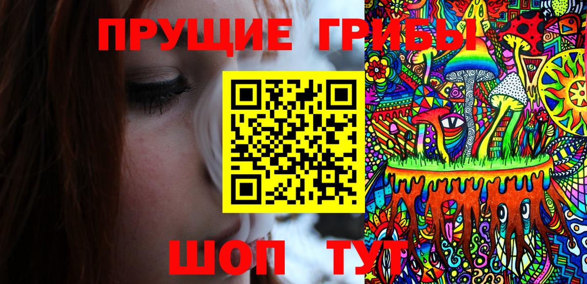 Псилоцибиновые грибы Psilocybe Муравленко
